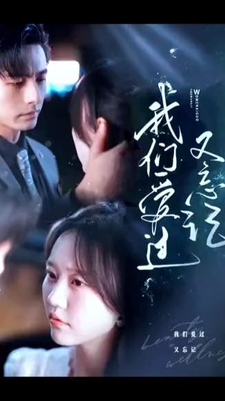 我们爱过又忘记 全集 (上)(大结局)