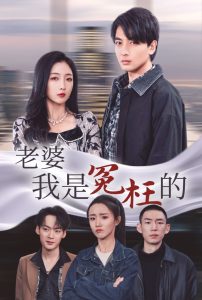 老婆我是冤枉的 第01-31集(大结局)
