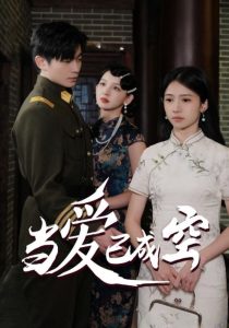 当爱已成空 第01-30集(大结局)