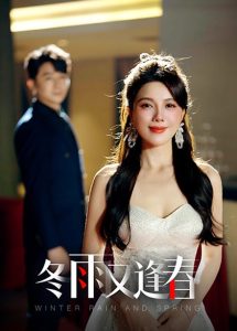 冬雨又逢春 第31-50集(大结局)