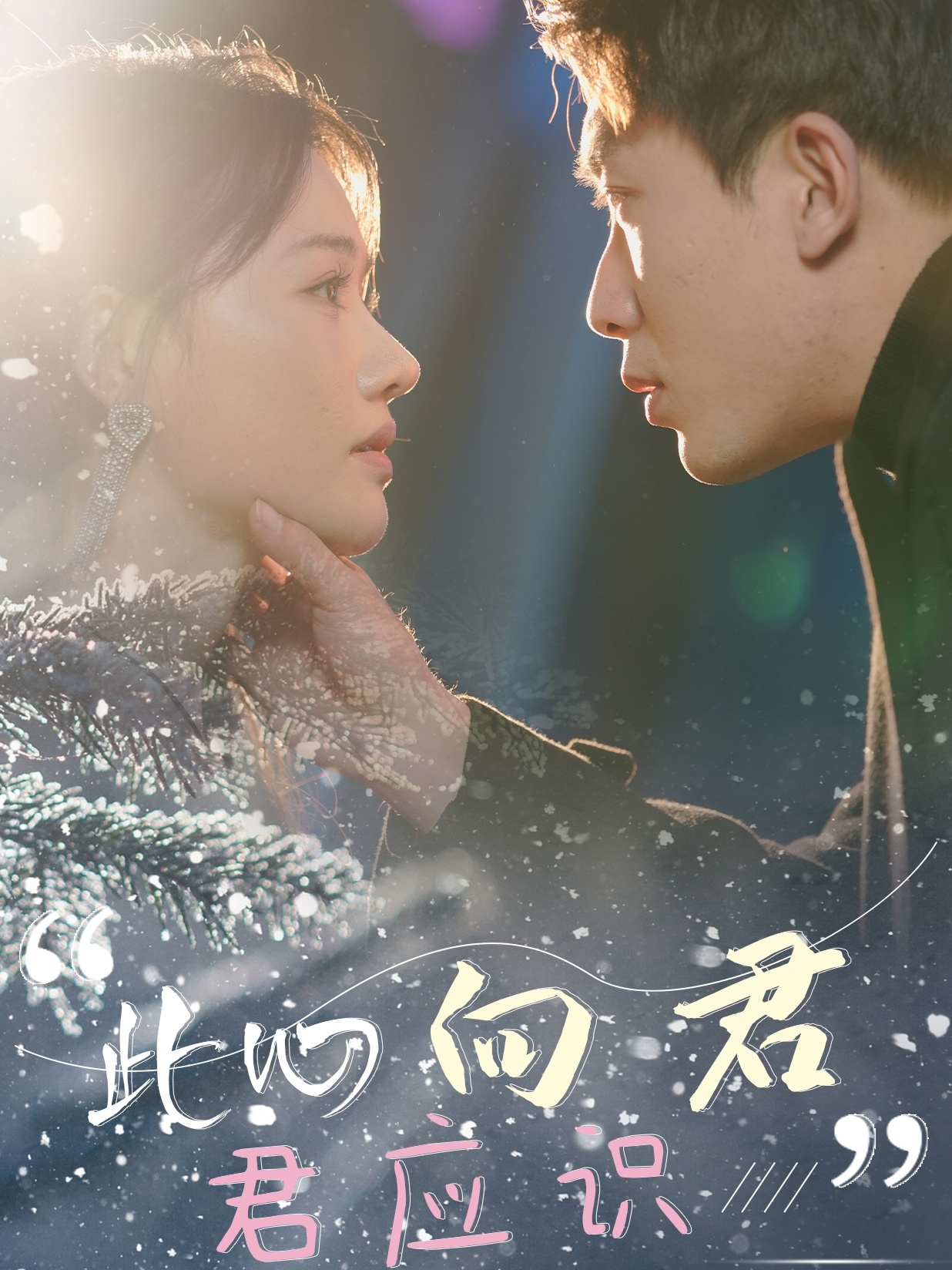 此心向君君应识 第01-30集