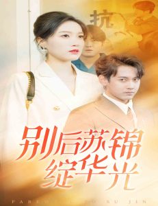 别后苏锦绽华光 第01-30集