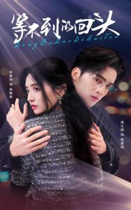 等不到的回头 第01-35集(大结局)