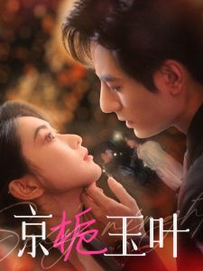京栀玉叶 第01-30集