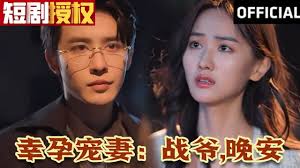 幸孕宠妻：战爷，晚安(全集)