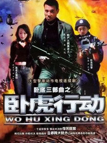 卧虎行动 第02集
