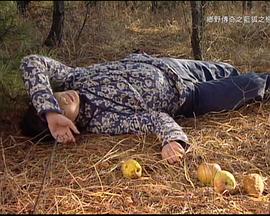 蓝狐之恋 第01集